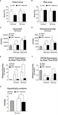 Sphingolipid Synthesis Inhibition by Myriocin Administration Enhances Lipid Consumption and Ameliorates Lipid Response to Myocardial Ischemia Reperfusion Injury
